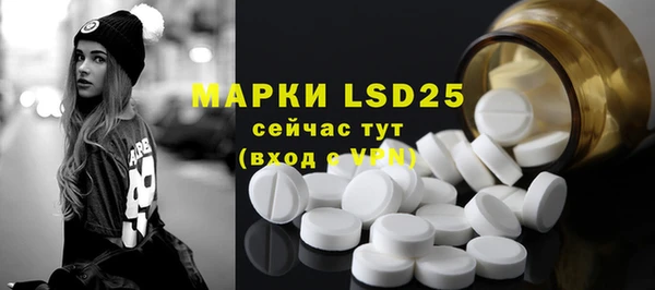 ПСИЛОЦИБИНОВЫЕ ГРИБЫ Алексин