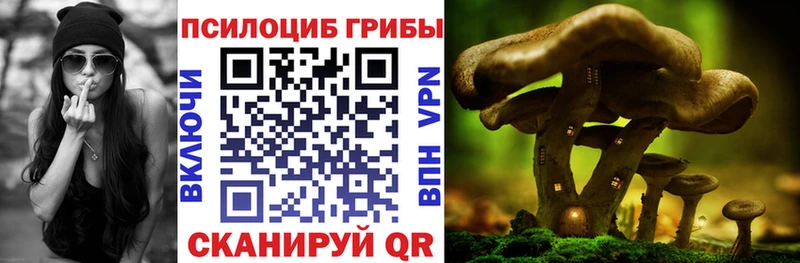 Галлюциногенные грибы MAGIC MUSHROOMS где купить наркоту Мышкин